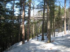 A snowy path and trestle