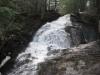 Engorged Alder Falls