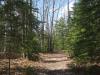 Path down to Alder Falls