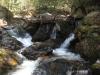 Water cascading around boulders and logs