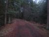 Quickly dimming path to Black River