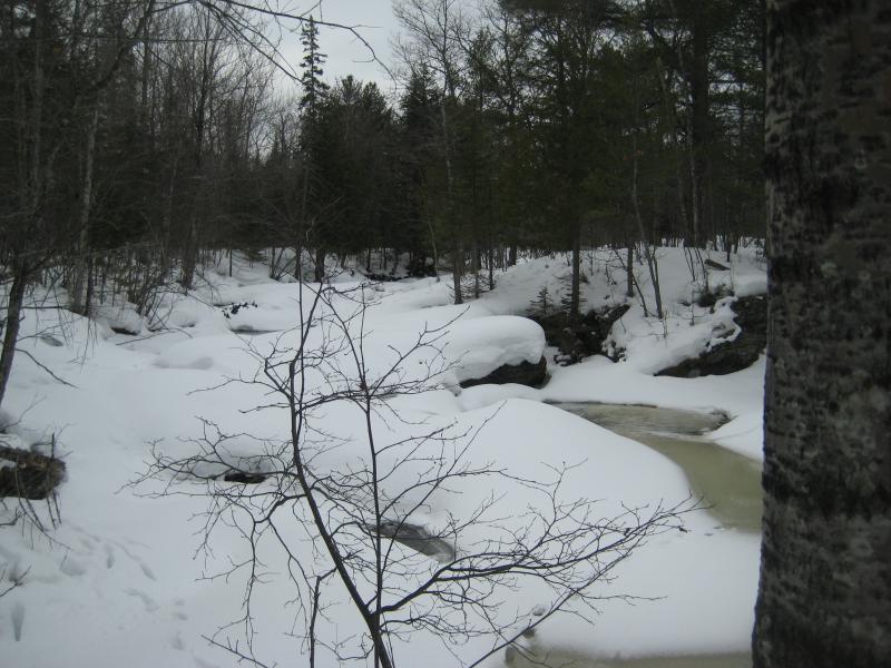 Snow covering the river