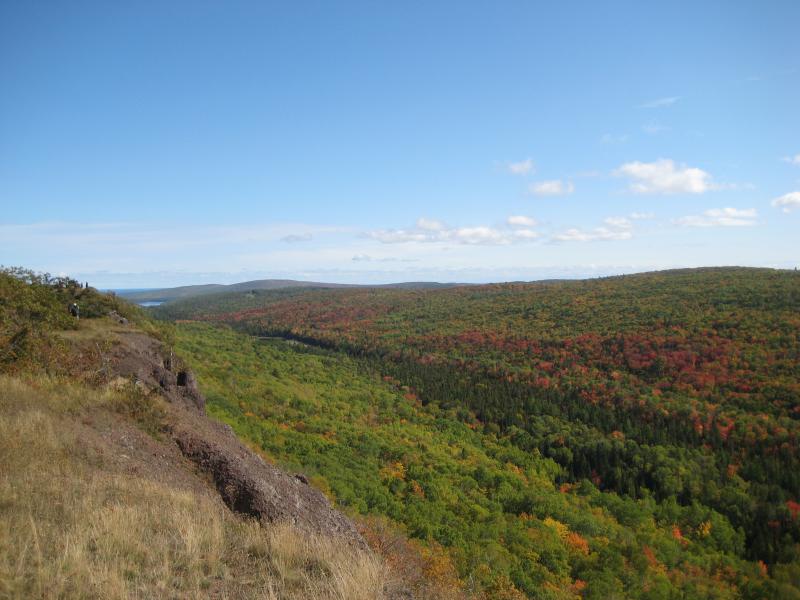 Along the valley of Garden Brook