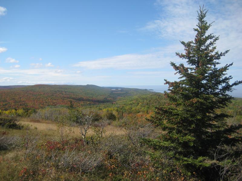 Looking along the western shoreline