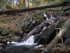 Bulldog Falls in the McCormick Tract