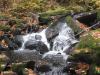 Rocky jumbled drop