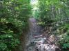 Rutted drive over the creek