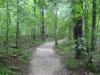 Easy rock path at Canyon River Falls Park