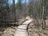 A familiar wooden footpath
