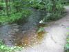 An overflowing Bacco Creek