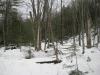 Deep snow along the cluttered banks