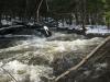 Busy sliding rapids