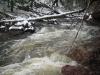 Small rushing drops on Carp River