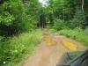 Muddy, narrow road