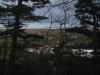 Partial view down through thick woods
