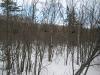 Horribly thick swamp to hack through