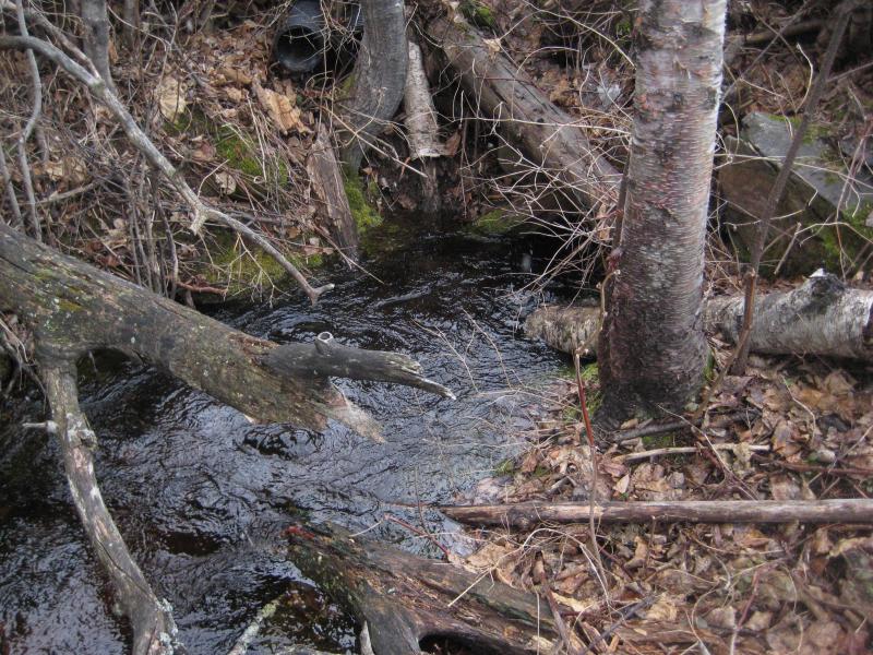 Water bubbling up from the ground
