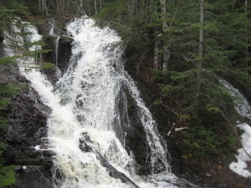 Swollen waters flowing out of the woods