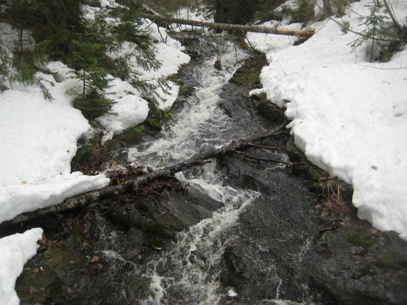 Dark rock beneath white snow and water