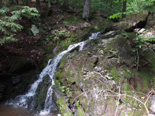 Small, gushing waterfall on Cushman Creek