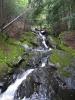 Long tail of mossy chutes
