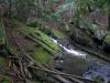 Lower mossy chute