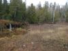 Gravelly land below the dam