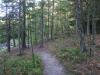 Well worn path on the river bank