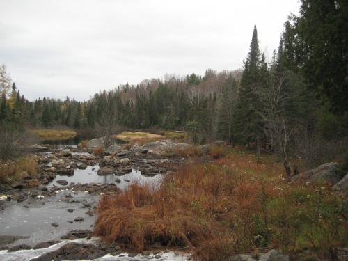 Downstream swamps on the Peshekee