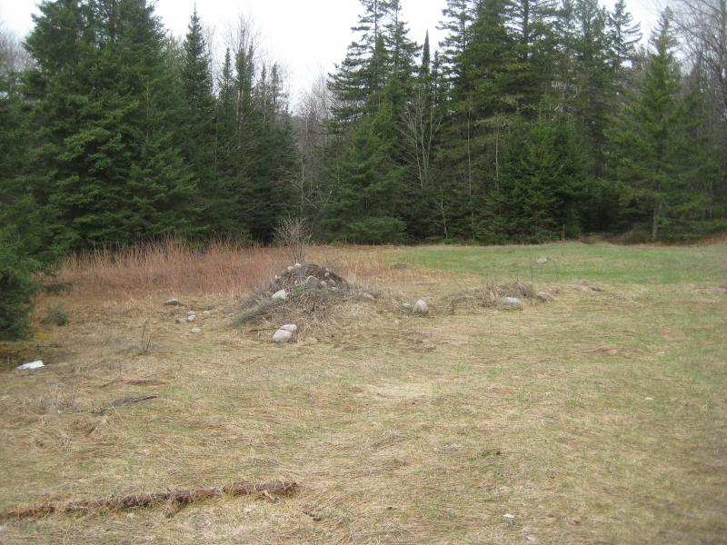 Open clearing for parking