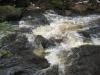 Overflowing State Creek