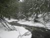 Trees crowding around the narrow river channel