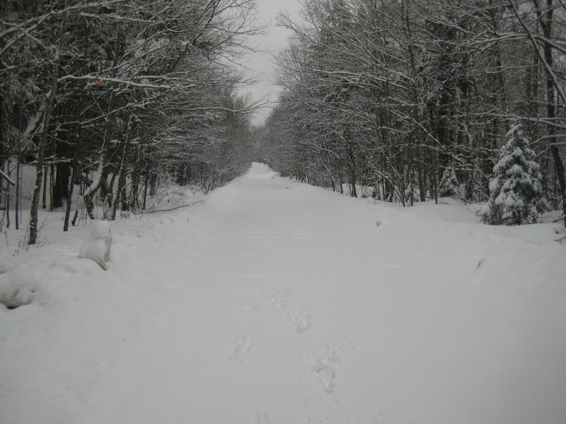 Snow-covered, empty Ericks Road
