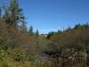 Calm river downstream