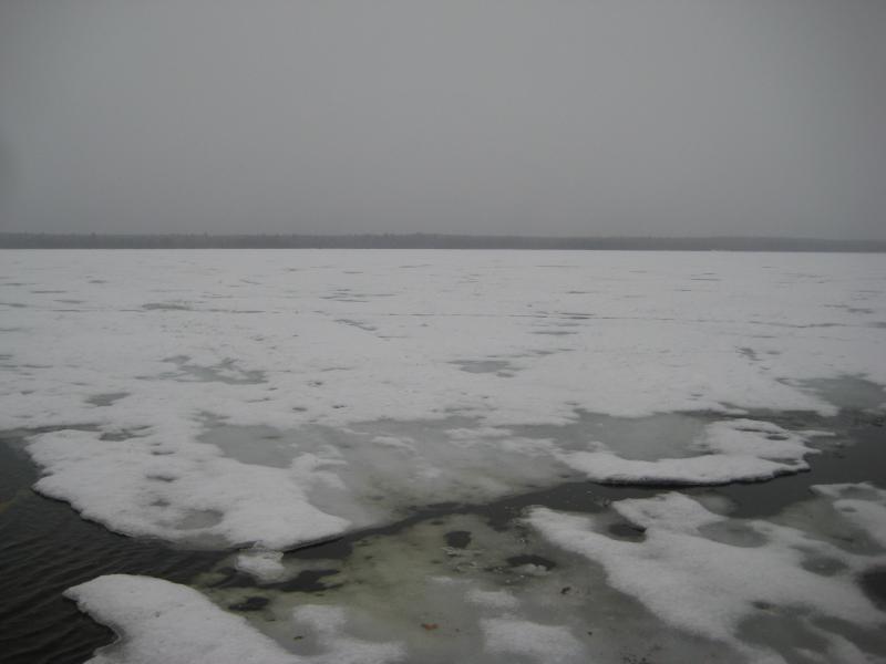 Dreary ice under a dreary sky
