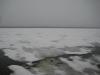 Dreary ice under a dreary sky
