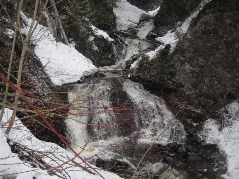 Full creek flowing heavily