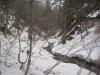 Next to the crowded little creek