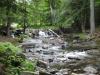 Up at Ericks Falls