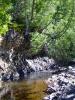 Overhanging trees and banks on Eagle River