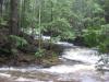 Swollen waterfall across Silver River