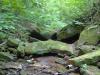 Large mossy boulders in the creek