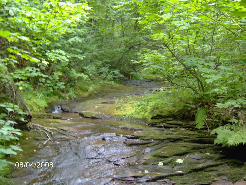 Smooth streambed downstream