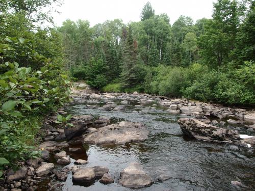 Downstream rapids from the falls