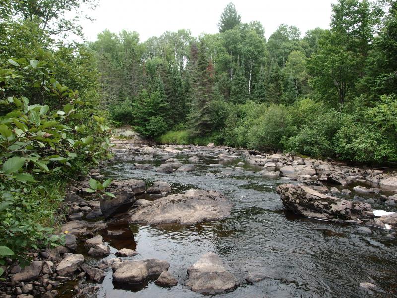 Downstream rapids from the falls