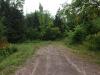 End of the road