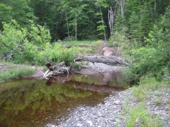 Makeshift bridge over Silver River