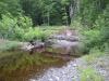 Makeshift bridge over Silver River