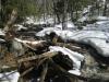 Cluttered logs on the river