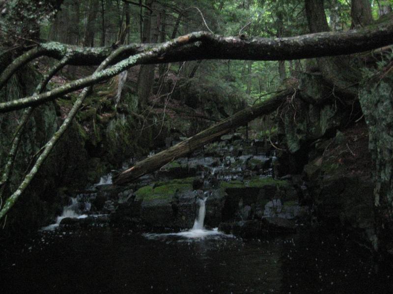 Dark pool on Harley